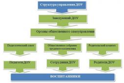 Структура управления ДОУ 104